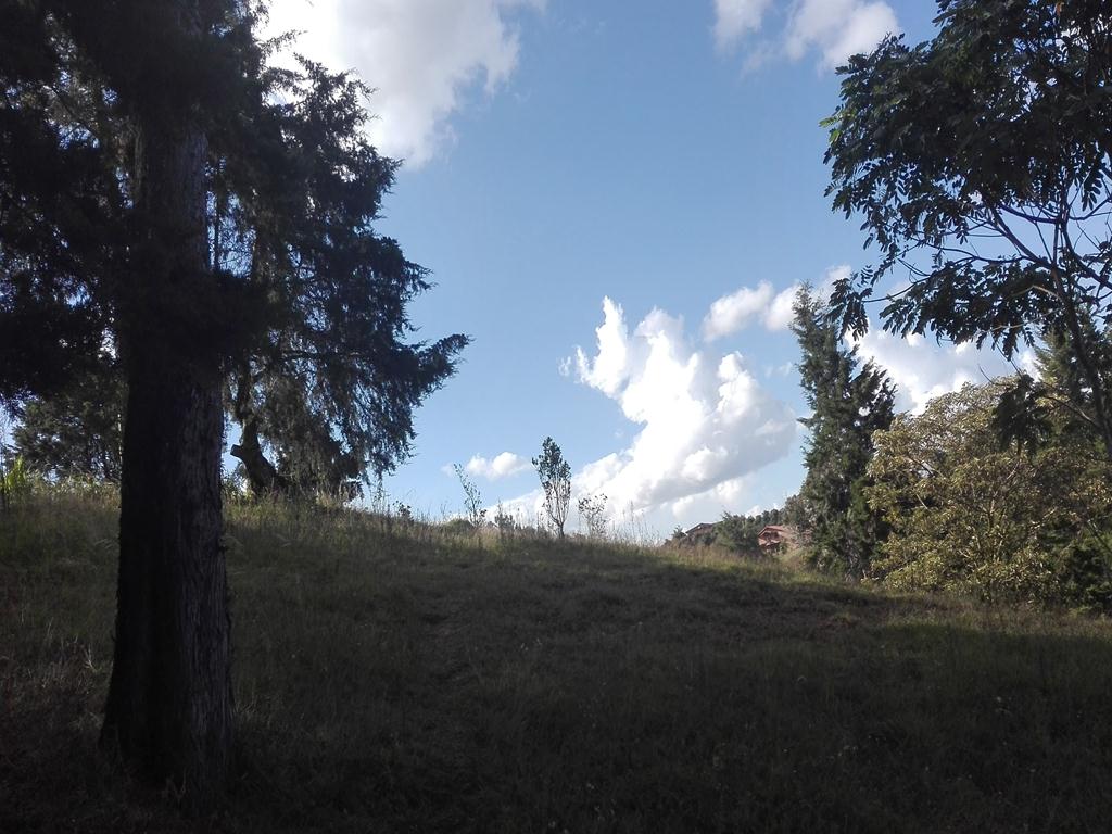Terreno disponible para Venta en Rionegro Vereda La Mosquita Foto numero 1