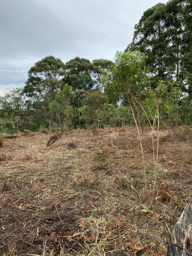 Terreno disponible para Venta en Rionegro Vereda Los Pinos Foto numero 1