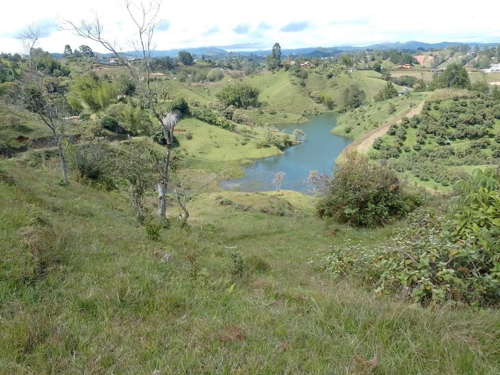 Terreno disponible para Venta en Peñol El Peñol Foto numero 1