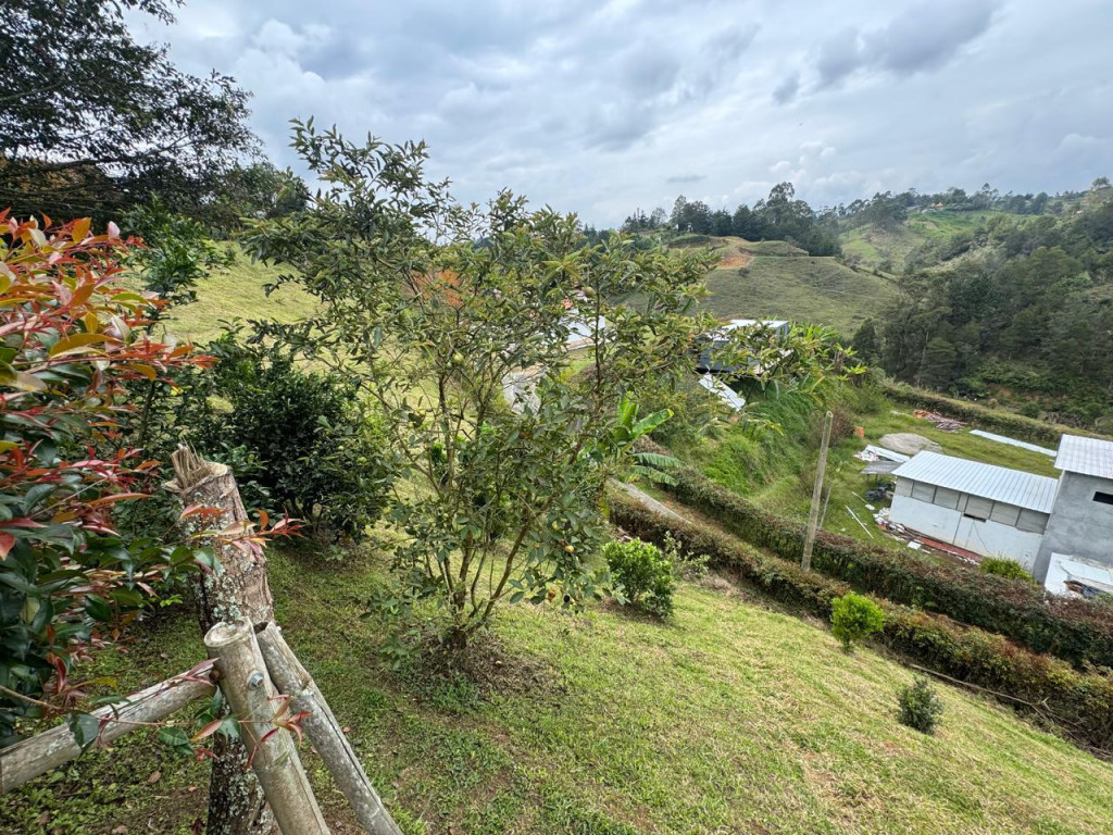 Finca disponible para Ambos en Marinilla Vereda Los Pinos Foto numero 1