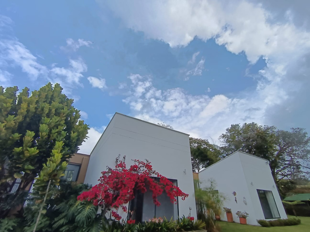 Finca disponible para Ambos en Rionegro Rionegro/La Ceja Foto numero 1